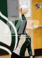 Photo from the gallery "Panther Creek @ Green Hope"