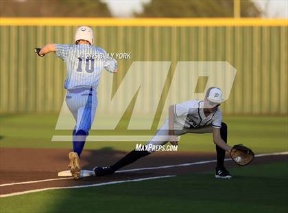 Thumbnail 2 in Jacksonville vs Palmer photogallery.