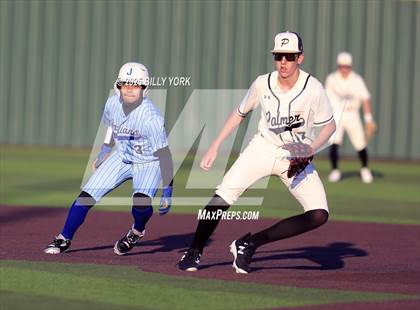 Thumbnail 2 in Jacksonville vs Palmer photogallery.