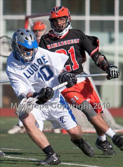 Thumbnail 3 in Mamaroneck @ Ludlowe photogallery.