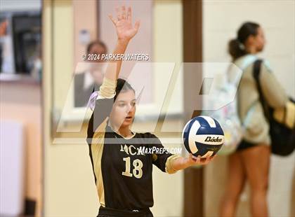 Thumbnail 1 in Slidell @ Mt. Carmel photogallery.