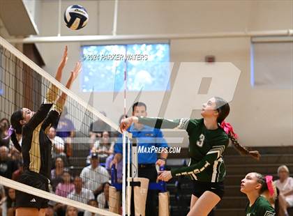 Thumbnail 1 in Slidell @ Mt. Carmel photogallery.