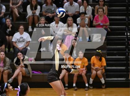 Thumbnail 3 in Slidell @ Mt. Carmel photogallery.
