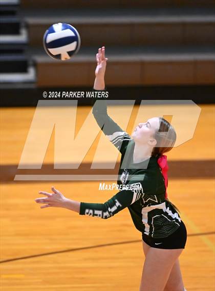 Thumbnail 3 in Slidell @ Mt. Carmel photogallery.