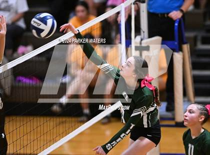 Thumbnail 3 in Slidell @ Mt. Carmel photogallery.