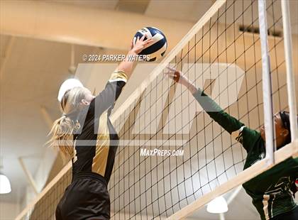 Thumbnail 2 in Slidell @ Mt. Carmel photogallery.
