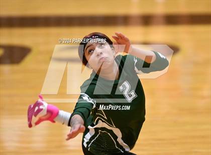 Thumbnail 2 in Slidell @ Mt. Carmel photogallery.