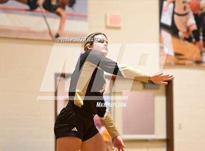 Thumbnail 3 in Slidell @ Mt. Carmel photogallery.