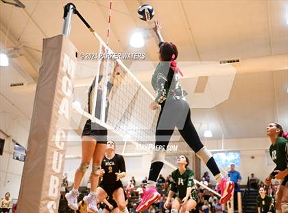 Thumbnail 3 in Slidell @ Mt. Carmel photogallery.