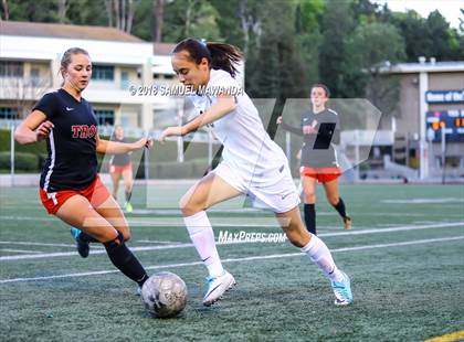 Thumbnail 3 in  Troy @ Harvard-Westlake (CIF SS D1 Playoff) photogallery.