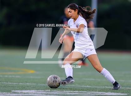 Thumbnail 2 in  Troy @ Harvard-Westlake (CIF SS D1 Playoff) photogallery.