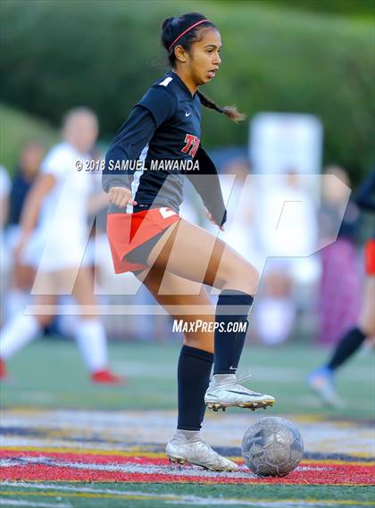 Thumbnail 3 in  Troy @ Harvard-Westlake (CIF SS D1 Playoff) photogallery.