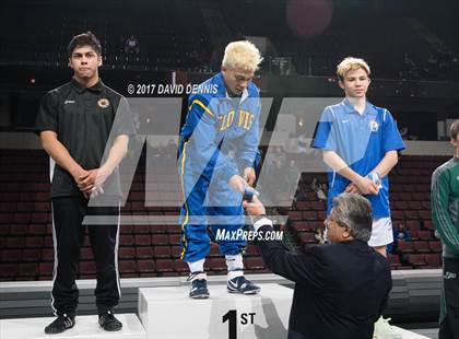 Thumbnail 1 in CIF State Boys Wrestling Championships (Awards) photogallery.