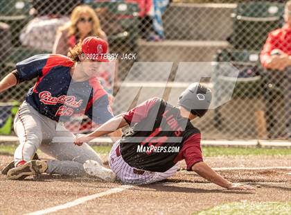 Thumbnail 2 in Great Oak @ JSerra Catholic photogallery.