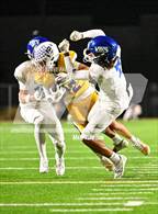 Photo from the gallery "Curtis @ Sumner"