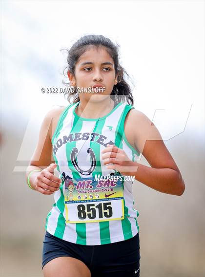Thumbnail 1 in Mt SAC Invitational (Division 1 - Race 75) photogallery.