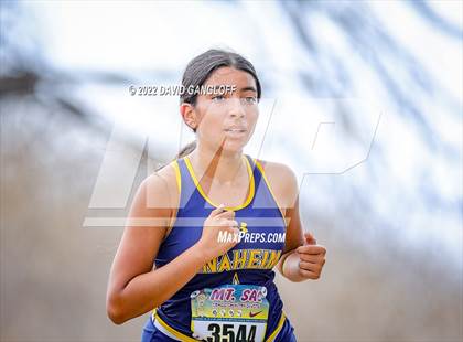 Thumbnail 1 in Mt SAC Invitational (Division 1 - Race 75) photogallery.