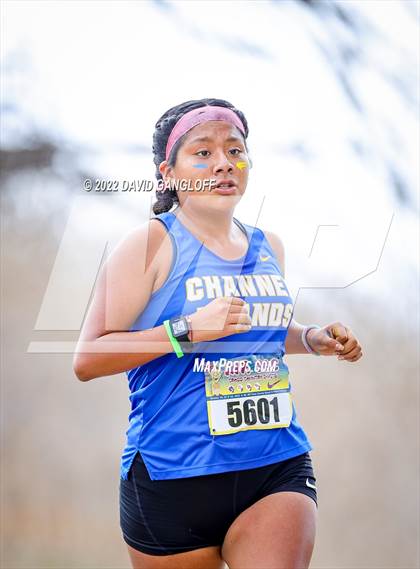 Thumbnail 1 in Mt SAC Invitational (Division 1 - Race 75) photogallery.