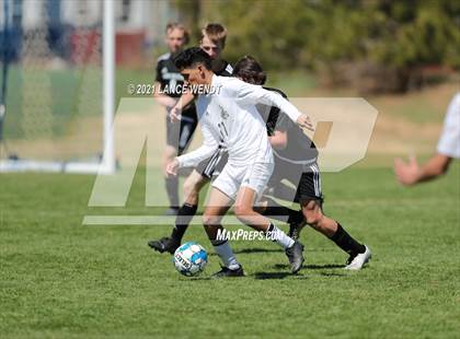 Thumbnail 2 in Pomona @ Lakewood photogallery.