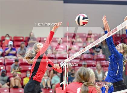 Thumbnail 1 in Robinson @ Lorena photogallery.