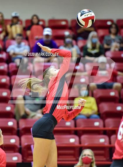 Thumbnail 1 in Robinson @ Lorena photogallery.