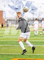 Photo from the gallery "Olympus @ Murray"