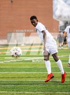 Photo from the gallery "Olympus @ Murray"