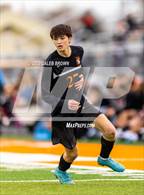 Photo from the gallery "Olympus @ Murray"
