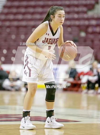 Thumbnail 1 in Peters Township vs. Garnet Valley (PIAA 6A Championship) photogallery.