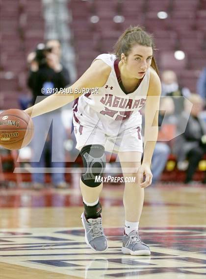 Thumbnail 1 in Peters Township vs. Garnet Valley (PIAA 6A Championship) photogallery.