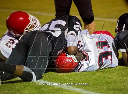 Thumbnail 3 in Jacksonville @ Havelock photogallery.
