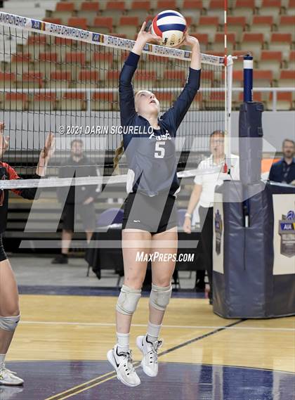 Thumbnail 2 in Phoenix Country Day vs Chandler Prep (AIA 2A Final) photogallery.