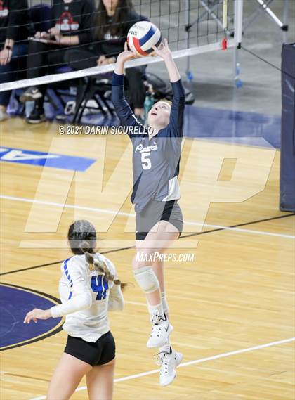 Thumbnail 2 in Phoenix Country Day vs Chandler Prep (AIA 2A Final) photogallery.