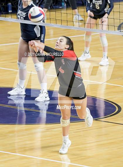 Thumbnail 1 in Phoenix Country Day vs Chandler Prep (AIA 2A Final) photogallery.