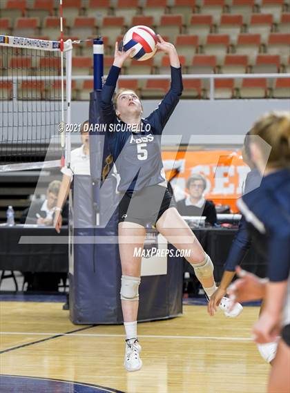Thumbnail 1 in Phoenix Country Day vs Chandler Prep (AIA 2A Final) photogallery.