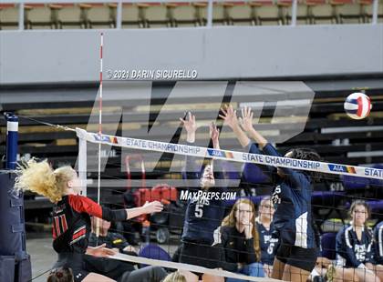Thumbnail 2 in Phoenix Country Day vs Chandler Prep (AIA 2A Final) photogallery.