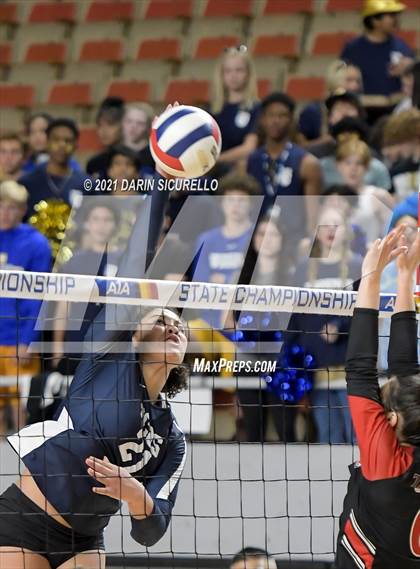 Thumbnail 2 in Phoenix Country Day vs Chandler Prep (AIA 2A Final) photogallery.