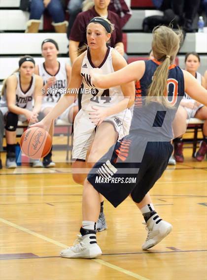 Thumbnail 1 in Gobles @ Watervliet photogallery.