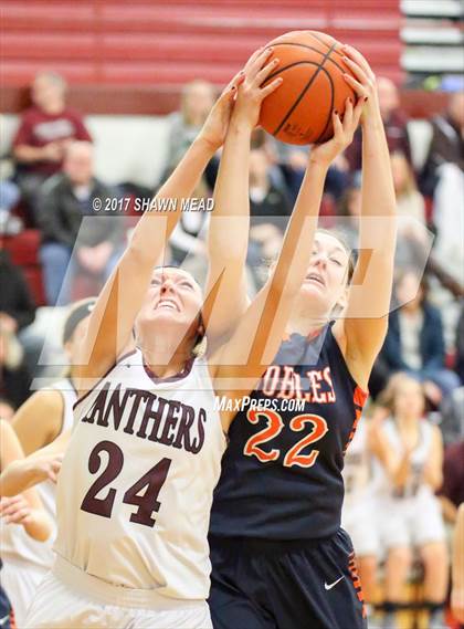 Thumbnail 3 in Gobles @ Watervliet photogallery.