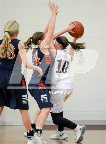 Thumbnail 3 in Gobles @ Watervliet photogallery.