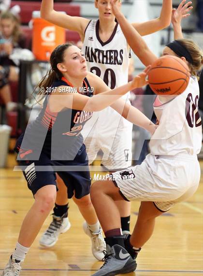 Thumbnail 2 in Gobles @ Watervliet photogallery.