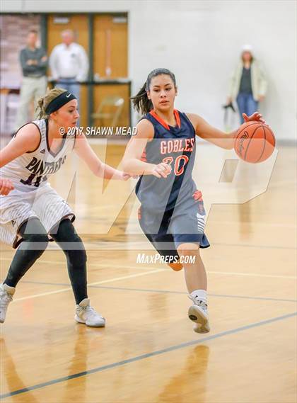 Thumbnail 3 in Gobles @ Watervliet photogallery.