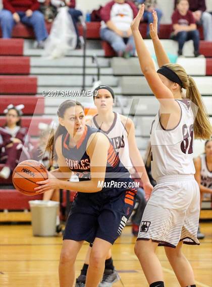 Thumbnail 1 in Gobles @ Watervliet photogallery.