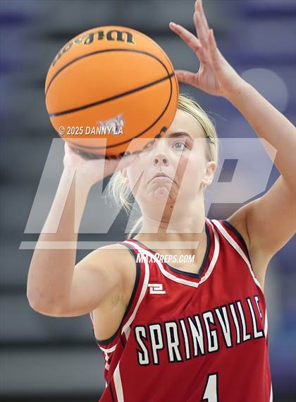 Thumbnail 2 in Springville @ Lehi photogallery.