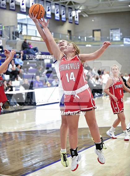 Thumbnail 2 in Springville @ Lehi photogallery.
