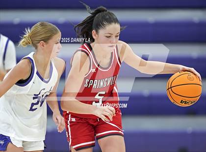 Thumbnail 3 in Springville @ Lehi photogallery.
