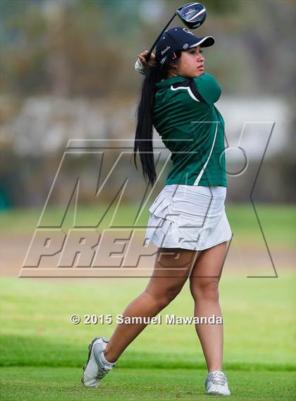 Thumbnail 1 in CIF 2015 Golf Championships photogallery.