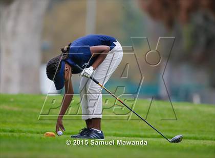 Thumbnail 2 in CIF 2015 Golf Championships photogallery.