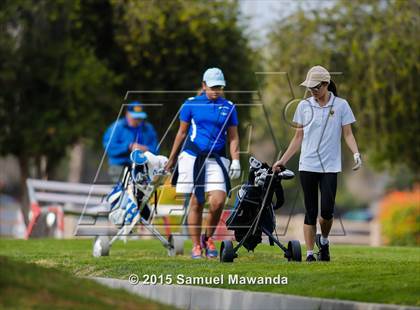 Thumbnail 2 in CIF 2015 Golf Championships photogallery.