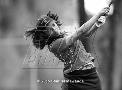 Thumbnail 1 in CIF 2015 Golf Championships photogallery.